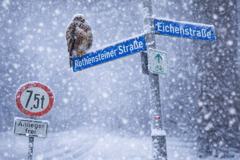 Flugverbot wegen schlechter Sicht - auch an der Ecke Eichenstraße-Rothensteiner Damm